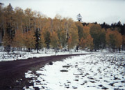 Fish Lake Utah, early fall snow storm