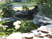 Custom Pond 2, Grants Pass, Merlin