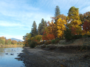 Rogue River Late October, Autumn Colors 2008