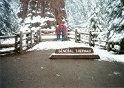 General Sherman Tree, Sequoia National Park (largest tree in the world), Carl, Mom Jeanette