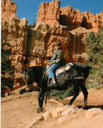 Timothy on Mule in Bryce Canyon National Park, Utah