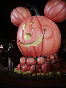 Giant Pumpkin Display, Disneyland October 2011