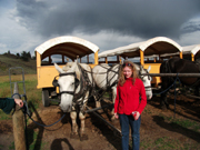 Danielle Old West Yellowstone Cookout